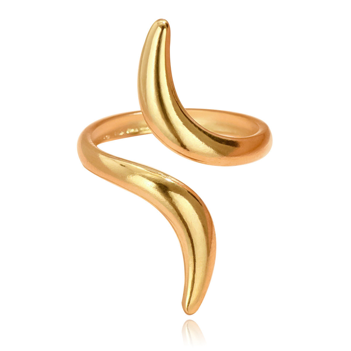 stainless steel ring