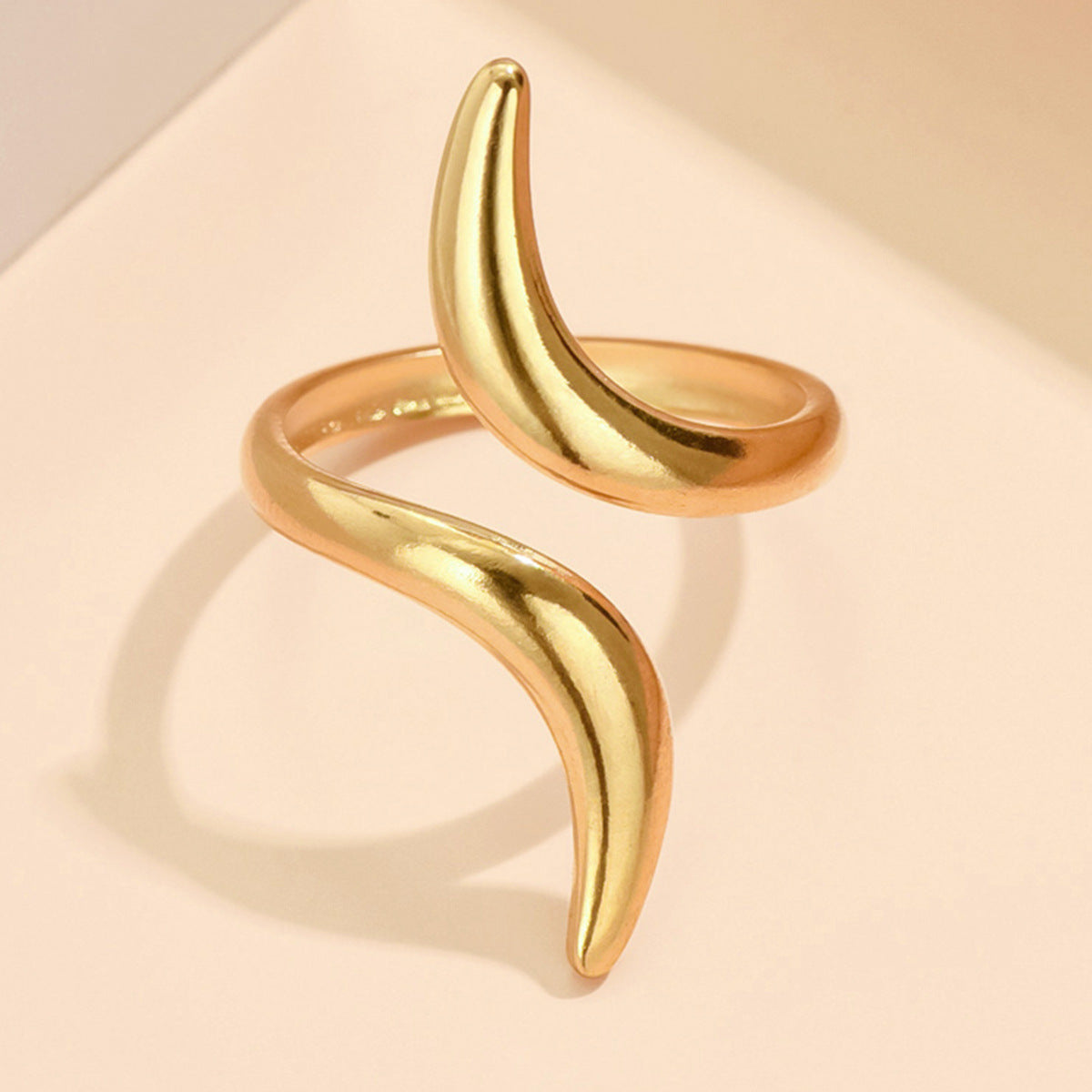 stainless steel ring